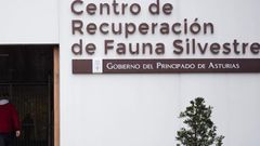 Centro de recuperacin de Fauna SIlvestre del Principado