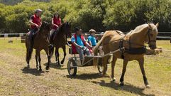 La Feira-Exposici�n-Paseo do Cabalo de Ponteceso, �en im�genes!