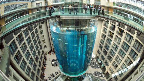 As� era el AquaDom, el acuario cil�ndrico m�s grande del mundo, que estaba ubicado en el interior del hotel Radisson Collection de Berl�n