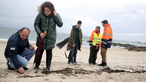 TRABAJADORES CONTRATADOS POR LA ARMADORA DEL TOCONAO LIMPIAN LA PLAYA DE O CASTRO DE PELETS