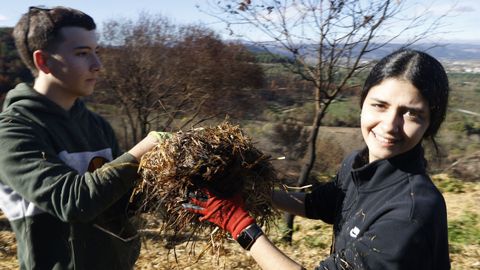 Salida al campo de estudiantes del IES Castro de Baronceli para colaborar en la recuperacin de montes quemados.