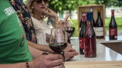Vinos con el indicativo de Ribeira Sacra en el festival de la denominación de origen
