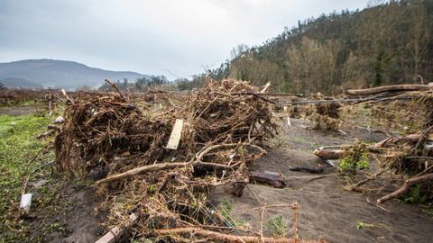 Estado en el que quedaron los terrenos de cultivo del kiwi en el Bajo Nal�n tras el temporal de lluvia