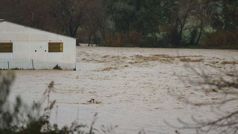 El r�o Teba, en M�laga