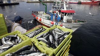 La sardina, la xouba o la caballa son ricas en omega-3.