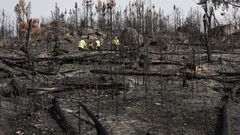 Las asociaciones del sector dicen que si hay actividad en los territorios es m�s fa�cil prevenir los incendios forestales
