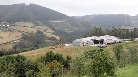 Explotacin ganadera que provoc el vertido de 580.000 litros de purines al Oura, afluente del Eo