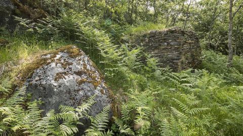 Junto al horno artesanal de O Caleiro afloran bloques de roca de los que se extraían piedras para fabricar cal
