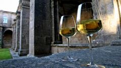 Aunque la producci�n de albari�o se remonta al siglo XI, cuando los monjes de Cluny introdujeron la variedad para cultivarla en la zona, no fue hasta 1988 cuando se formaliz� la denominaci�n de origen R�as Baixas. En ella se a�nan hoy m�s de 180 bodegas.