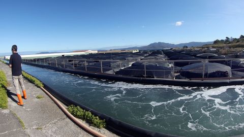 Canal que lleva por gravedad a la planta el agua captada del mar