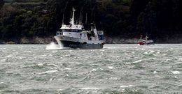 Un arrastrero y un pesquero artesanal, a media tarde de ayer, entrando al abrigo de la r�a de Viveiro.