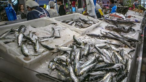 Sardinas frescas en una pescader�a de una plaza de abastos gallega.