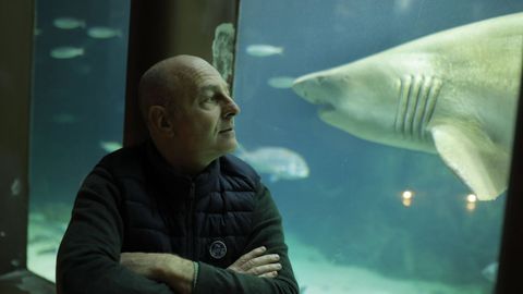 Antonio Vilar, bi�logo y cuidador de Gast�n, el tibur�n del Aquarium Finisterrae