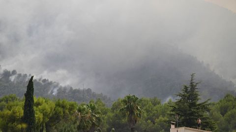Imagen a�rea del incendio de Castell�n
