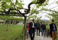 Los estudiantes visitaron los vi�edos