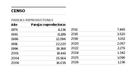 Censo de gaviotas en C�es