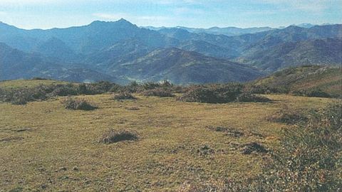 Colina del concejo de Laviana (Asturias) donde apareci un conjunto de 39 sestercios romanos de los siglos II-III dC