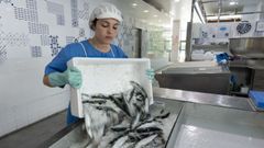 Julia Carballido Mato, de Peixer�a Antonio de la plaza de abastos de Carballo.