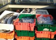 Parte de los productos decomisados en los distintos operativos.