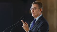 El presidente del PP, Alberto N��ez Feijoo,�en una imagen de archivo