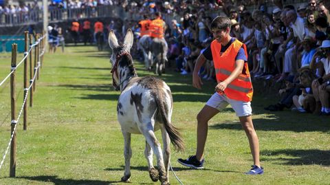 Un jinete trata de volver a montar tras una cada en plena carrera