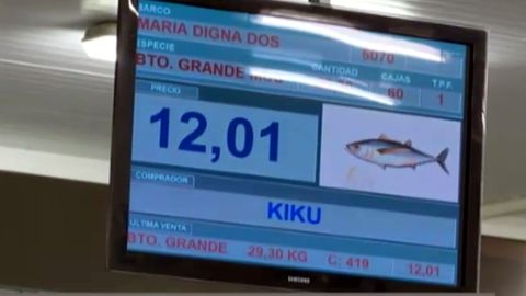 Panel anunciando la venta del primer bonito de la costera 2019 en Gij�n