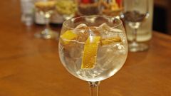 Imagen de archivo de un gin-tonic