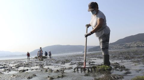 Las mariscadoras prepararon la playa retirando las algas antes de sembrar