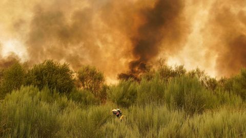 Incendio forestal en el concello de Cualedro, a mediados de agosto.