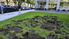 La Fonte dos Ranchos es una de las zonas de Lugo m�s afectadas por ataques de jabal�es