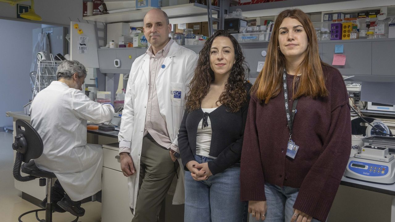 Un equipo gallego desvela el mecanismo que desata el caos en el ADN del cáncer