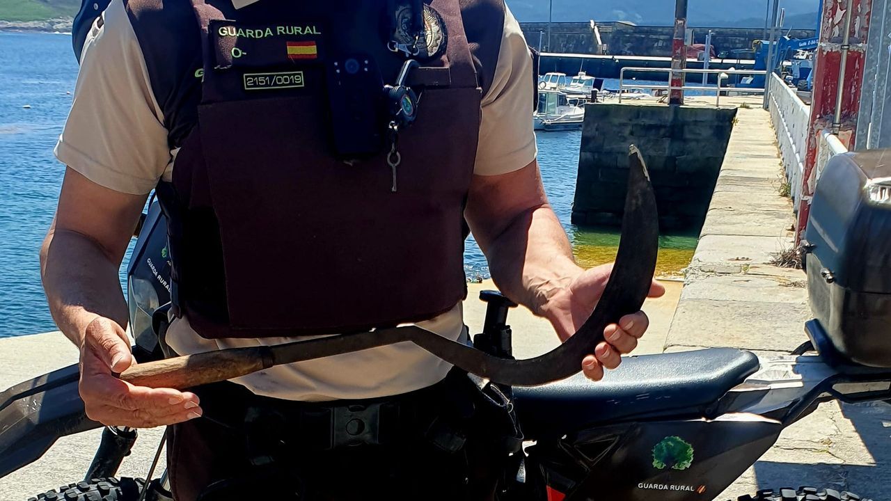 Interceptan en Santa Mariña, Ponteceso, a un furtivo cogiendo 7,5 kilos de percebes con un fouciño