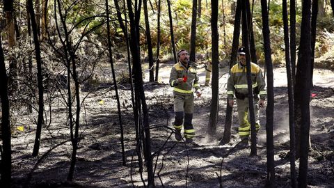A los pequeños, poco; a los grandes, cuando se puede. Los expertos de la Policía Autonómica en investigar las causas de los incendios apenas pueden analizar por falta de agentes y sobrecarga de trabajo las causas de los frentes pequeños, y a los grandes acuden cuando pueden.