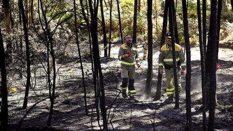 A los pequeos, poco; a los grandes, cuando se puede. Los expertos de la Polica Autonmica en investigar las causas de los incendios apenas pueden analizar por falta de agentes y sobrecarga de trabajo las causas de los frentes pequeos, y a los grandes acuden cuando pueden.