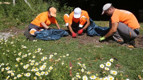Imaxe de operarios dunha das brigadas de traballo de BATA Servicios Integrales a la Comunidad