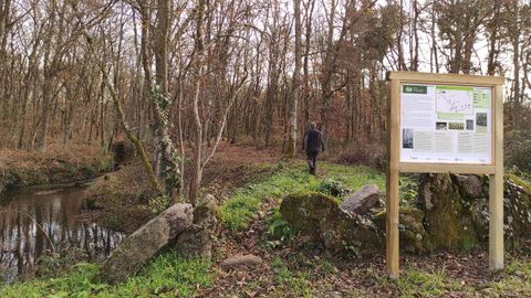 Senderismo en O Pereiro de Aguiar.El Concello acaba de poner en marcha tres nuevas rutas por el municipio y suma 50 kilmetros de trazados de senderismo