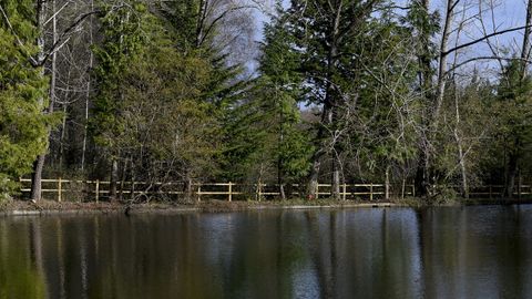 Los Lagos de Teixeiro se encuentran ante una segunda oportunidad.