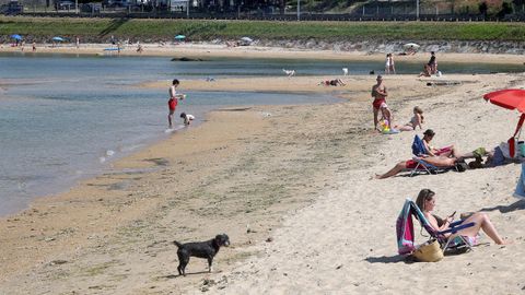 La playa de Os Areos, en A Pobra, tiene una parte abierta a los perros