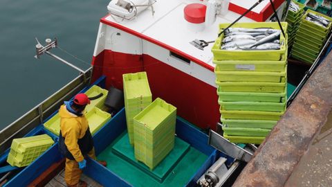 Un pesquero de bajura descargando xarda en el puerto de Burela (imagen de archivo).