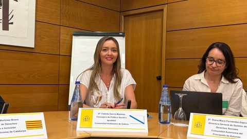La conselleira de Pol&iacute;tica Social, Fabiola Garc&iacute;a, este lunes en el&nbsp;Consejo Territorial de Servicios Sociales