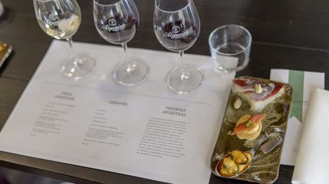 Tapas y vinos servidos a los suscriptores en la degustación en Algueira