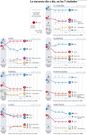La encuesta d�a a d�a, en las 7 ciudades