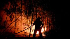 Operario trabajando en la extinci�n de un incendio en Tremoedo
