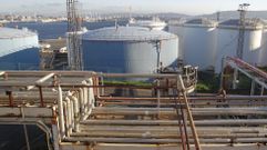 Forestal del Atl�ntico es una de las industrias gallegas que cuenta con una planta de cogeneraci�n