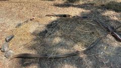 Los vecinos de Los Rosales denuncian barbacoas en el suelo del barrio