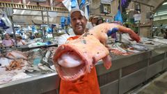Santi, de Pescados y Mariscos Cachadas, ense�a un ejemplar de rape albino en la plaza de Pontevedra