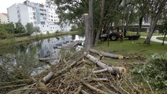 El chopo estaba situado en las proximidades del embarcadero