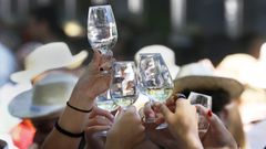 Un grupo brindando en la Festa do Albari�o