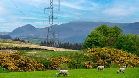 La distribuci�n de energ�a de Iberdrola fue de r�cord