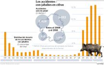 Los accidentes con jabal�es en cifras